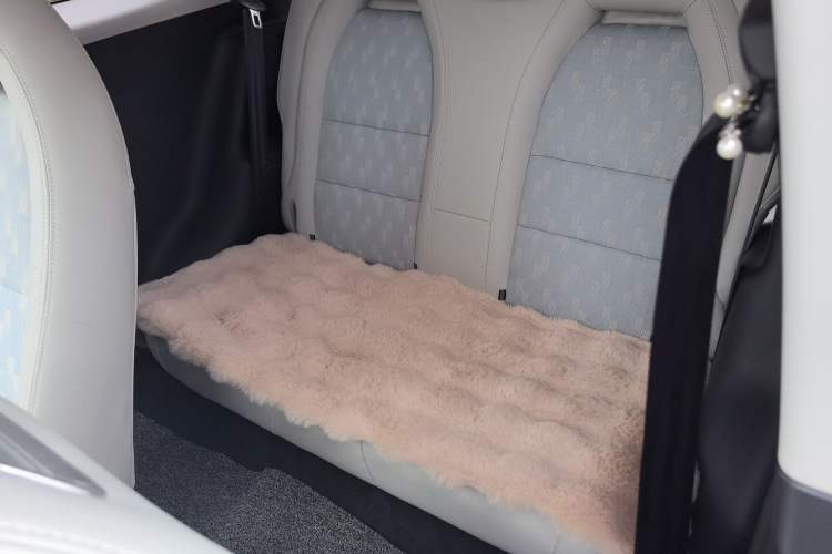 Used ZEDRIV GC2 2020 ZhiXing 450P (4-seater)
