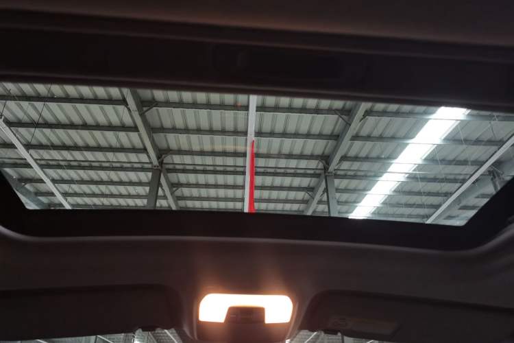 Used Leopaard CS10 2017 2.0T Automatic Urban Version
