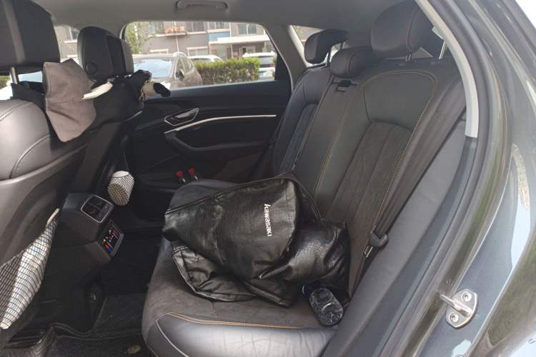 Used Audi e-tron 2021 50 quattro Prestige Edition Left Rear Seat