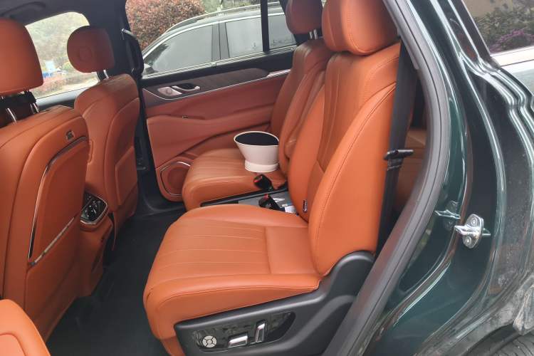 Used Wey Lanshan 2023 Four-Wheel Drive Ultra-Long Range Version Left Rear Seat