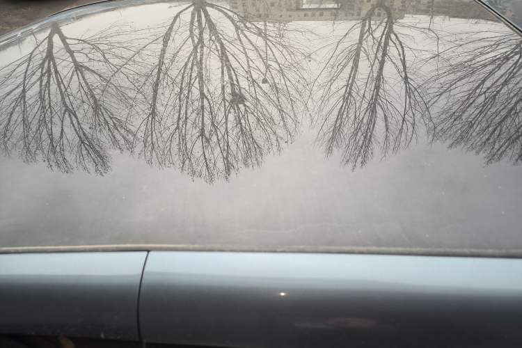 Used Chery Little Ant 2022 Restyled Version Sweet Pink Edition Half-Sugar Version 28.8 kWh 30 kW 301 km