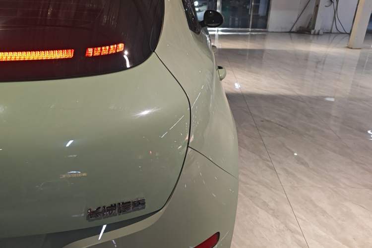 Used ORA Good Cat 2024 501 km Luxury Version Exterior 3