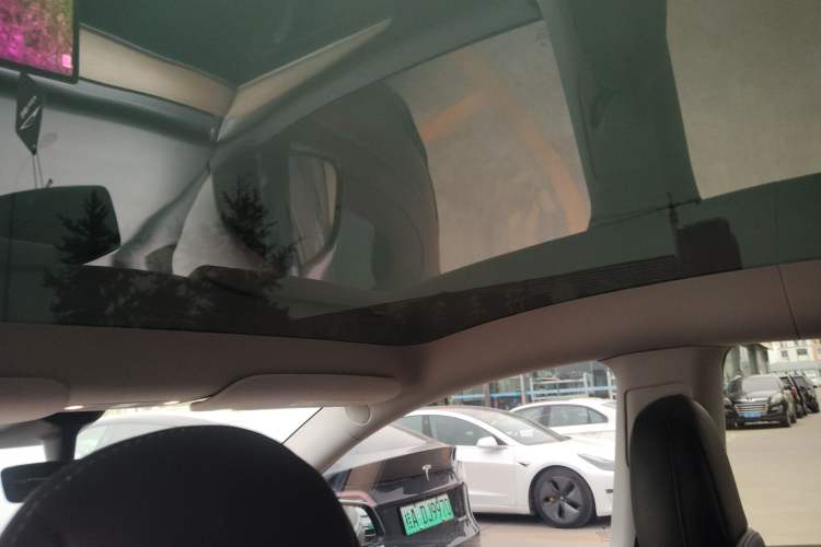 Used Tesla Model Y 2021 Standard Range Rear-Wheel Drive Version
