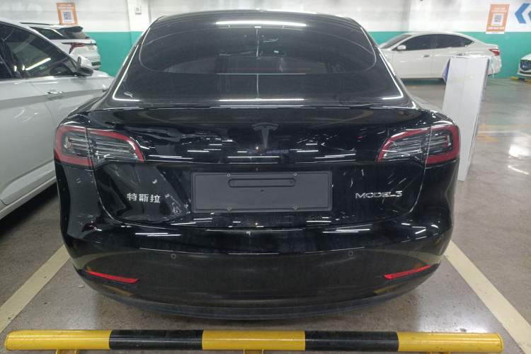 Used Tesla Model 3 2022 Rear-Wheel-Drive Version Rear