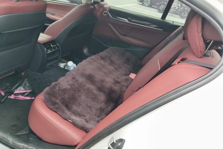 Used BMW 5 Series 2022 Restyled 525Li Luxury Package
