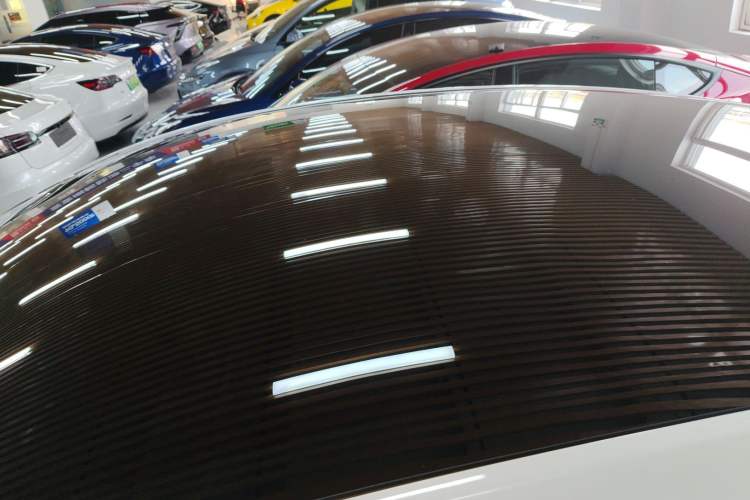 Used Tesla Model Y 2023 Rear-Wheel-Drive Version Roof