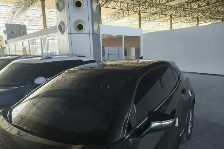 Used Lexus UX New Energy 2020 300e Pure·Joy Edition Roof