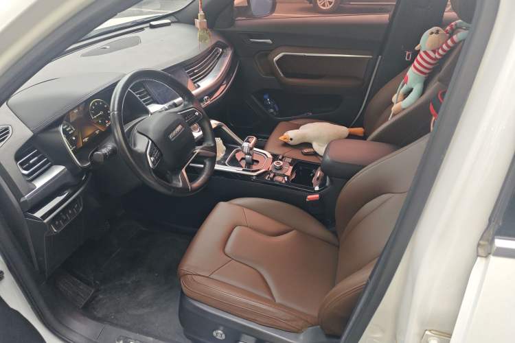 Used Haval H6 2017 Blue Label 2.0T Automatic Two-Wheel Drive Leading Model
