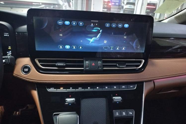 Used Hongqi HQ9 2023 2.0T Smart Connect Flagship Edition