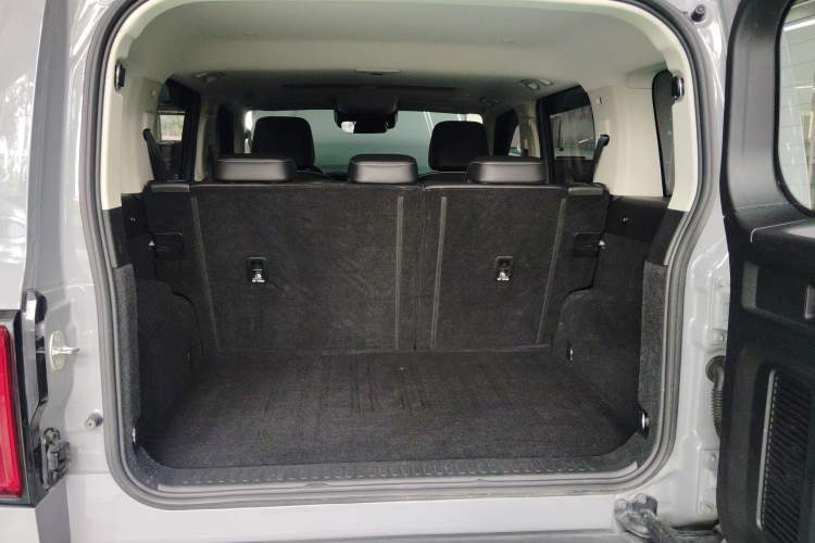 Used Tank 300 2024 2.0T Crosser