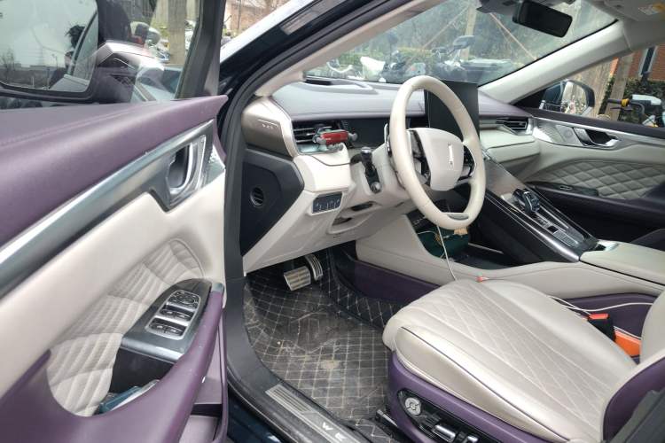 Used Wey Mocha 2021 2.0T Two-Wheel-Drive Premium Edition
