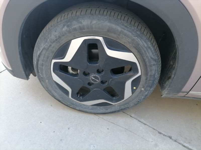 Used BYD Dolphin 2021 405 km Fashion Edition — 22