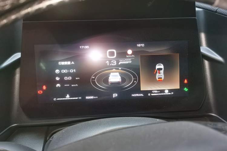 Used Haval DARGO 2024 2.0T DCT Chinese Rural Dog Edition
