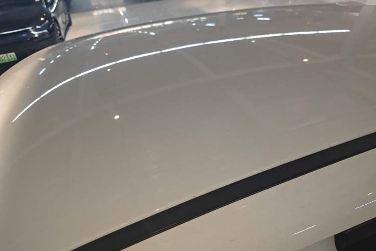 Used ORA Black Cat 2021 301 km Basic Version