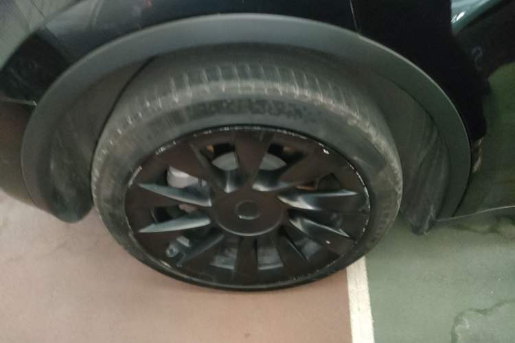 Used Tesla Model Y 2021 Long-Range All-Wheel-Drive Version Exterior 5