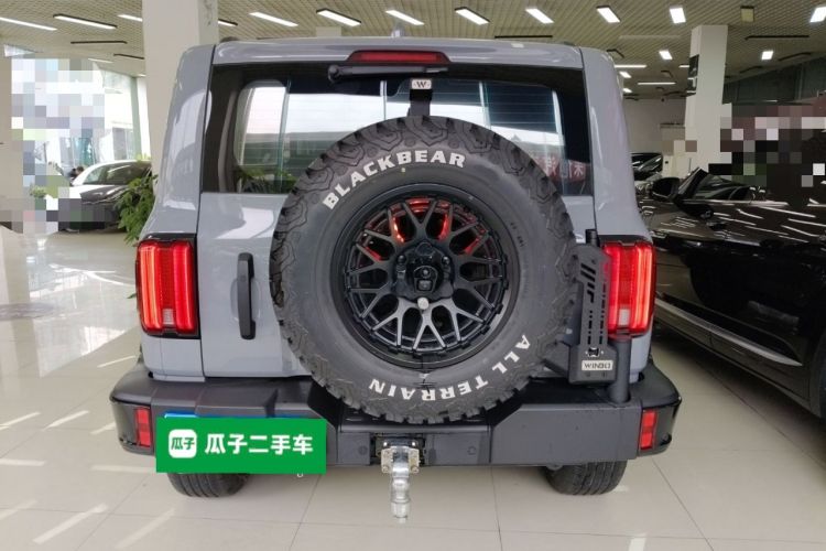 Used Tank 300 2025 2.4T Diesel Version