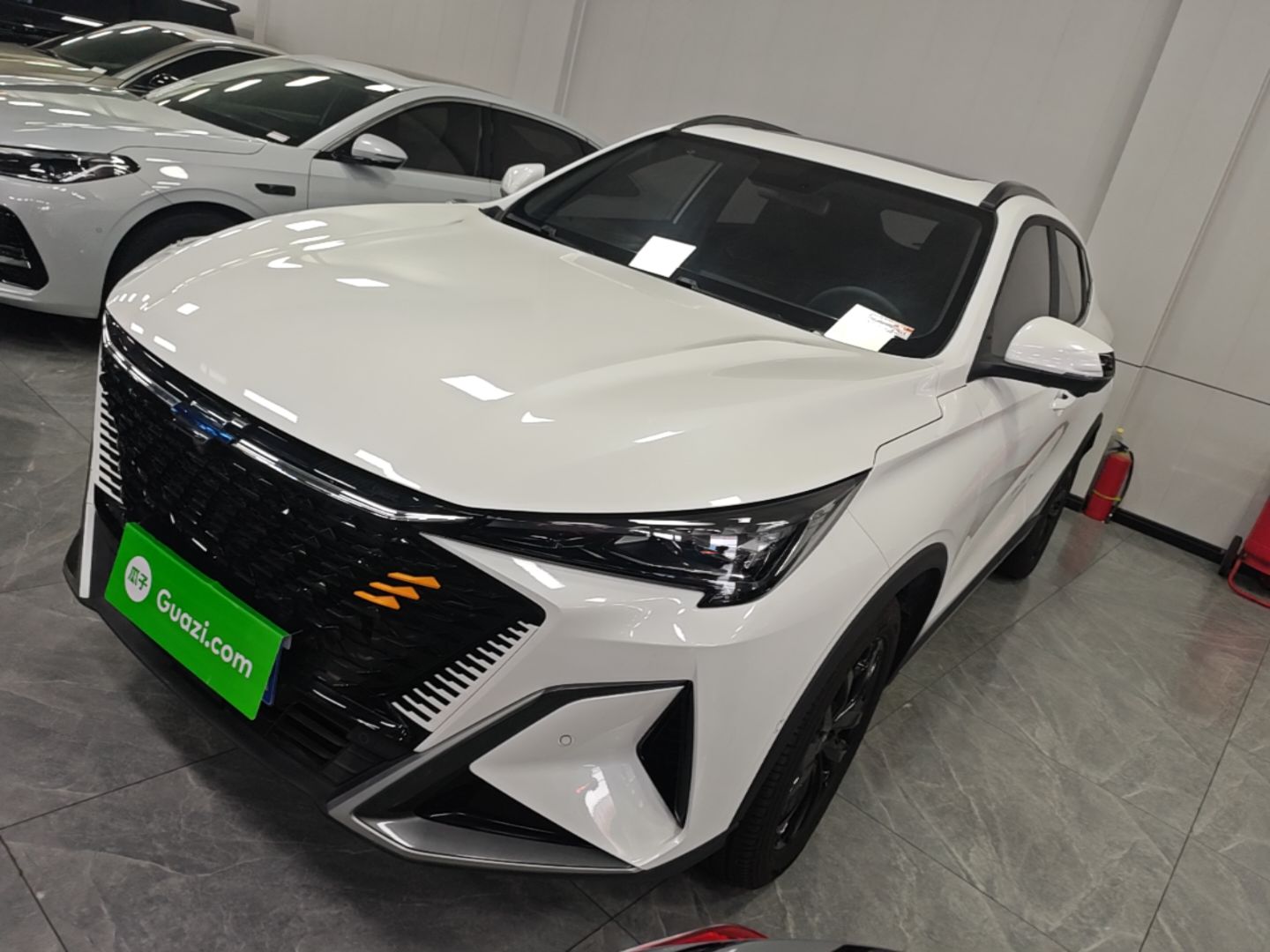 Under Front Bumper