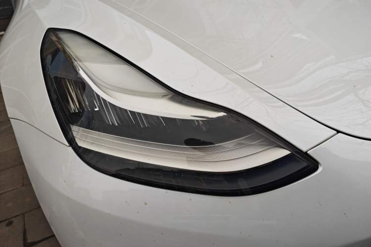 Used Tesla Model 3 (Import) 2019 Long-Range Rear-Wheel-Drive Version
