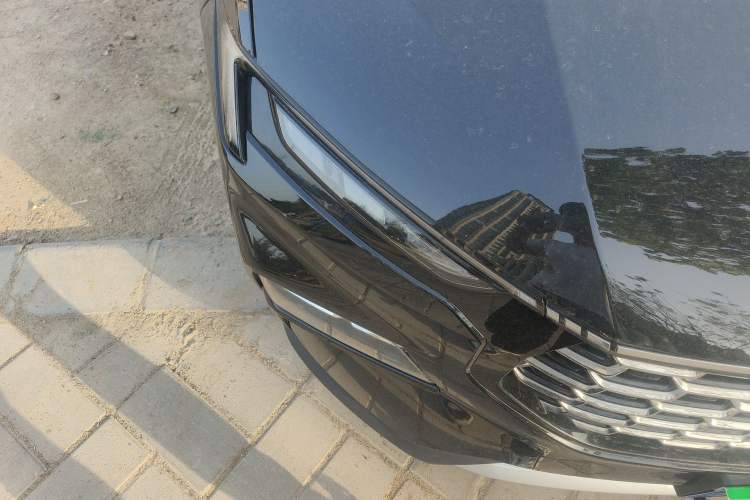 Used Ford Equator Sport 2023 EcoBoost 170 Elite Model Right Front Headlight