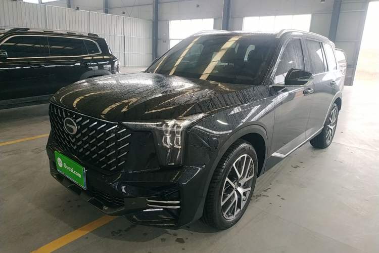 Used GAC Trumpchi GS8 2024 Linghang Series 2.0 TGDI Two-Wheel Drive Luxury Smart Connectivity Version