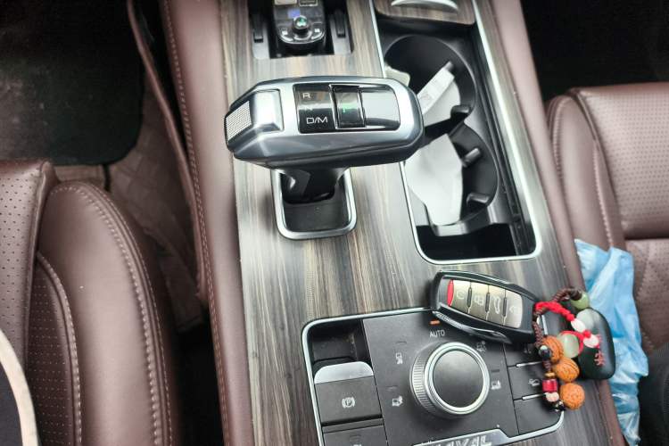 Used Haval H9 2020 2.0T Gasoline 4WD Premium Edition 5 Seats Gear Lever