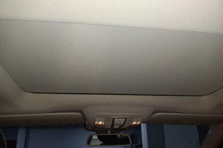 Used BAIC Off-Road BJ90 2021 4.0T Prestige Edition Headliner