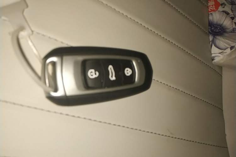 Used Geely Galaxy Panda 2025 210km Panda Rider
