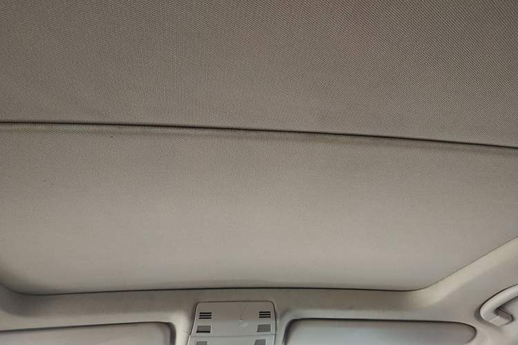 Used BMW X1 2012 sDrive18i Luxury Model Headliner