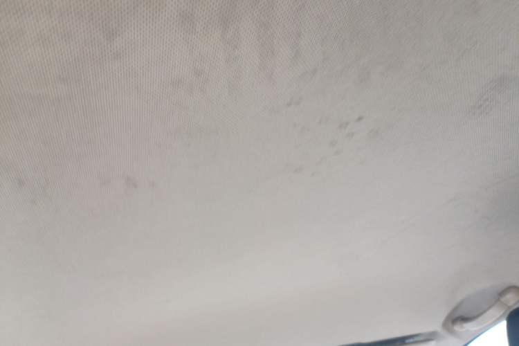 Used Baojun 310W 2017 1.5L Manual Fashion Model China V Headliner