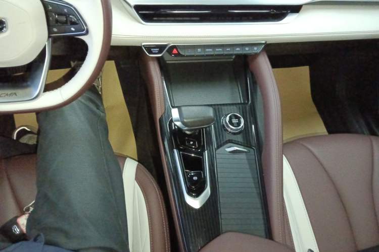 Used Geely Auto Monjaro L 2021 2.0TD DCT EVO Two-Wheel Drive Prestige Version
