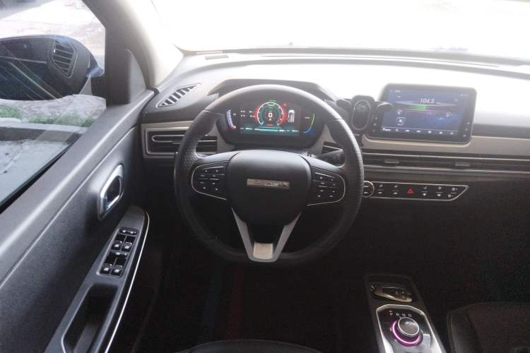 Used Dayun Yuehu 2022 30.66 kWh Two-Wheel Drive VIP Edition
