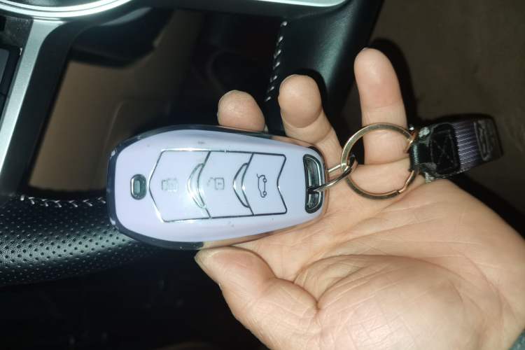 Used Landian E5 PLUS 2025 165 km Long-Range First Edition 7-Seater
