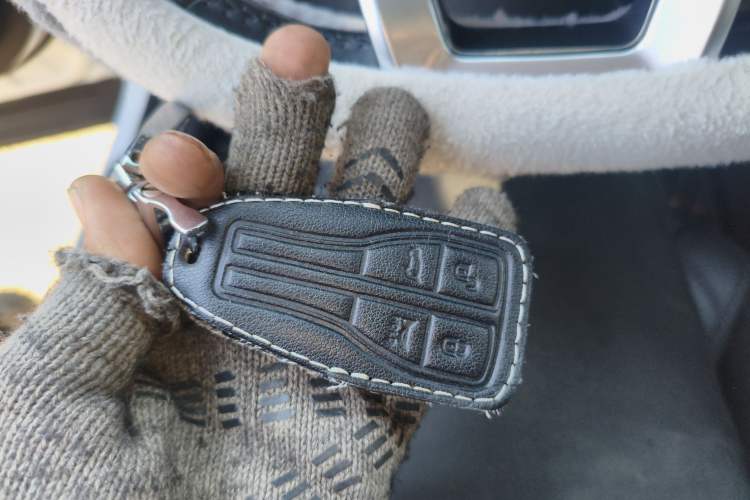 Used Hongqi HS5 2019 2.0T Smart Connect Flagship All-Wheel-Drive Version