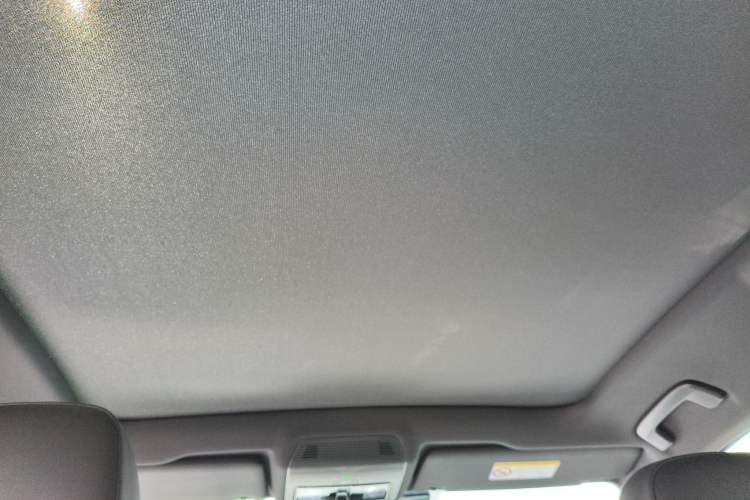 Used Volkswagen ID.4 X 2022 Pure Long-Range Version Headliner