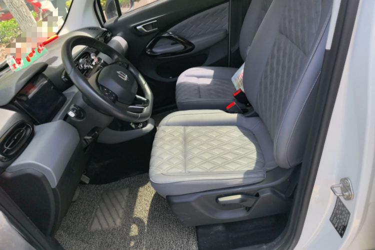 Used Leapmotor T03 2021 400 Luxury Edition Left Front Seat