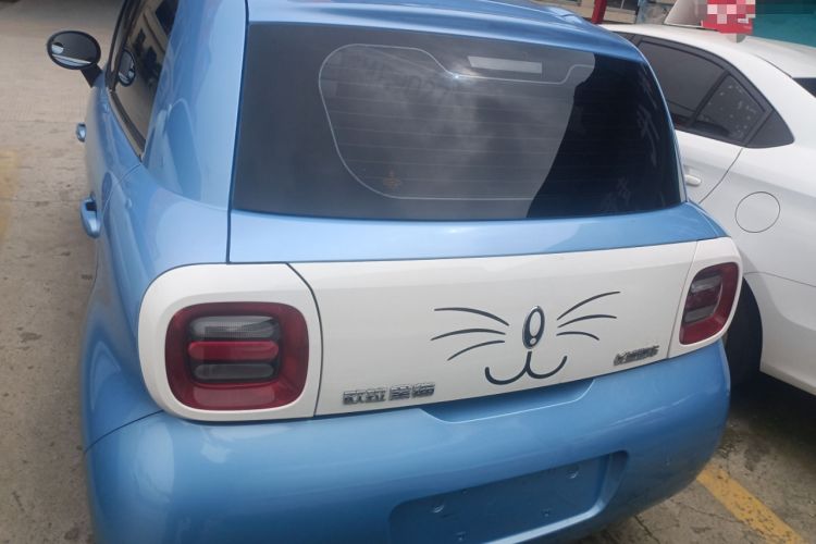 Used ORA Black Cat 2021 301km Cute Pet Edition Rear