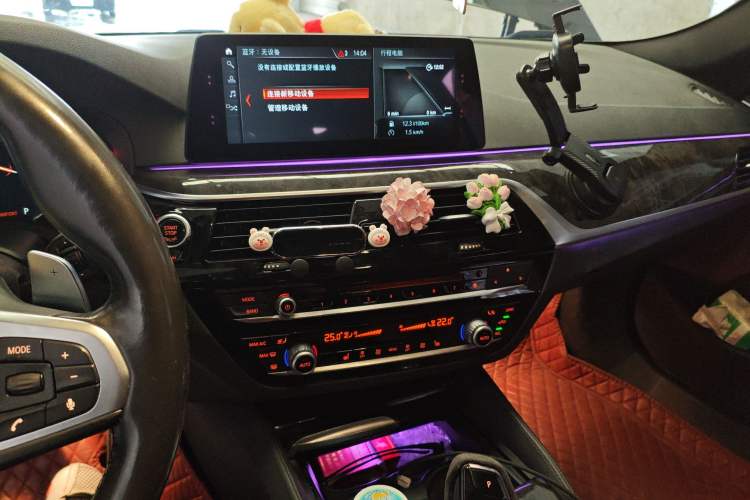 Used BMW 5 Series 2018 530Li xDrive M Sport Package
