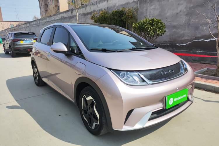 Used BYD Dolphin 2021 405 km Fashion Edition