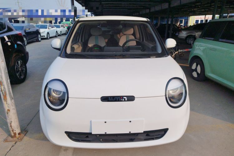 Used Qiyuan Lumin 2023 205km Xiangqin Version