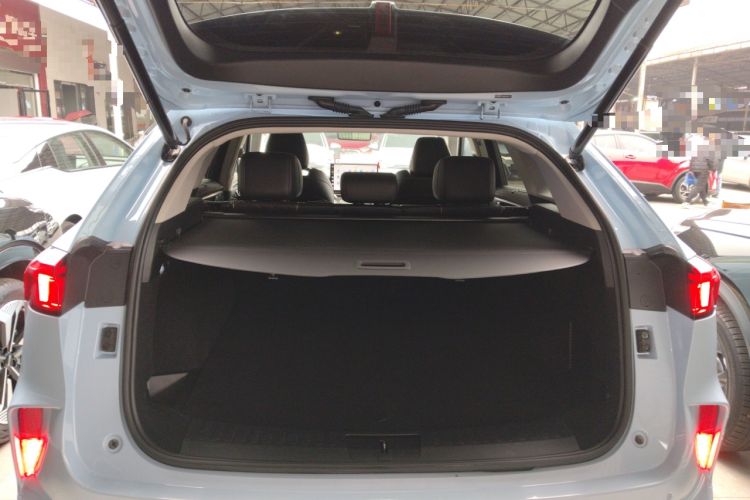 Used Wey Mocha 2021 2.0T Two-Wheel-Drive Premium Edition
