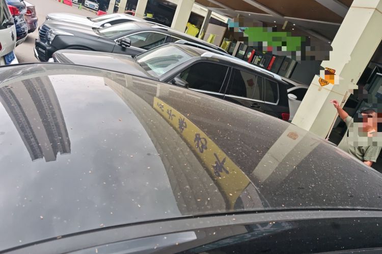 Used JAC Yiwei 3 2023 505 km Championship Edition Roof