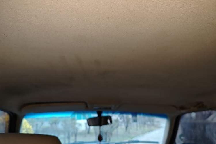 Used Volkswagen Santana Vista 2008 1.8L Manual Comfort Edition Headliner