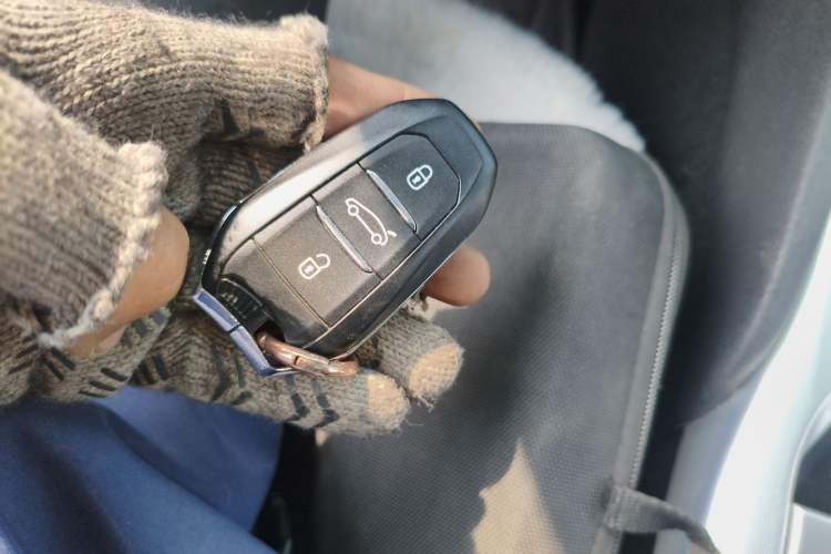 Used DS 5 2015 1.6T Luxury Edition THP160 Vehicle Key