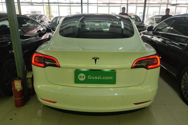 Used Tesla Model 3 2019 Long-Range Rear-Wheel-Drive Version Rear