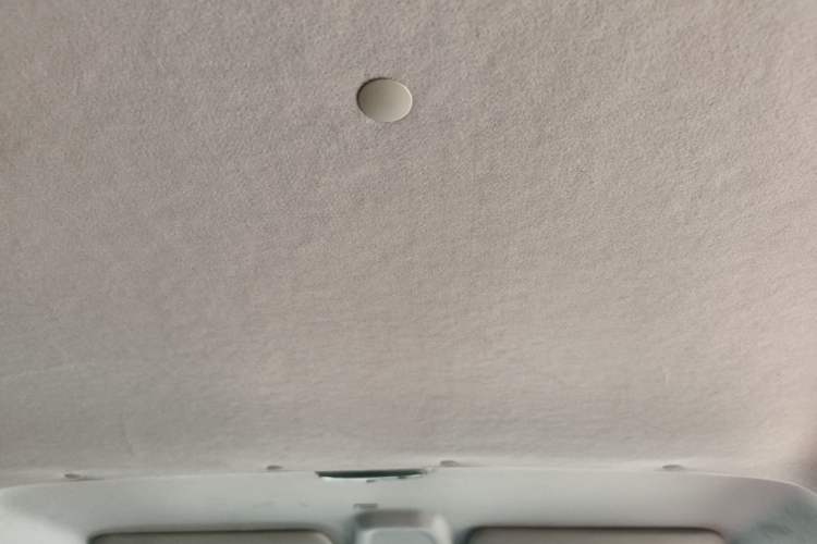 Used Ford Transit 2023 2.0T Diesel Manual Multifunction Commercial Vehicle Short Wheelbase Low Roof 5/6 Seats Headliner