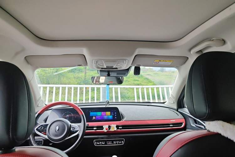 Used ORA Good Cat GT 2022 Mulan Edition 480km Long-Range续航 Headliner