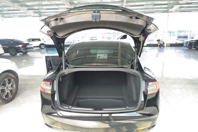 Used Tesla Model 3 2021 Standard Range Rear-Wheel Drive Upgraded Version 3D6
