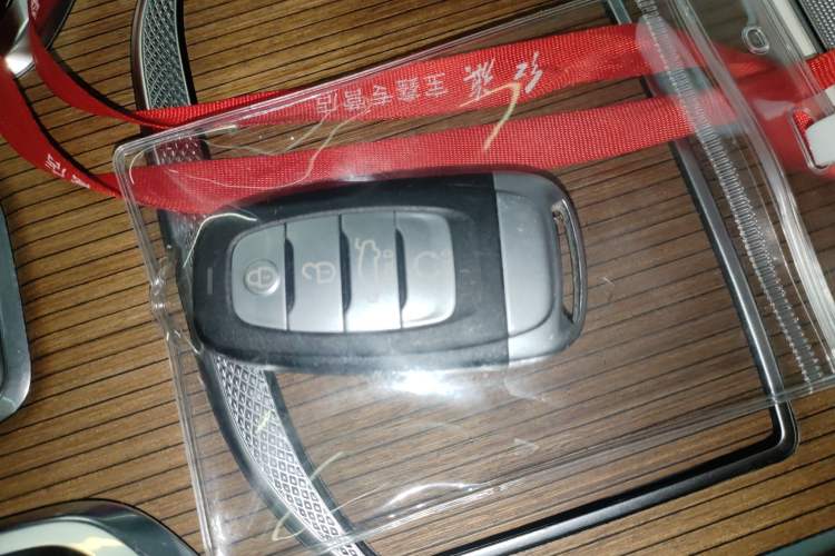 Used Hongqi E-HS9 2021 510 km Flagship Edition Four Seats
