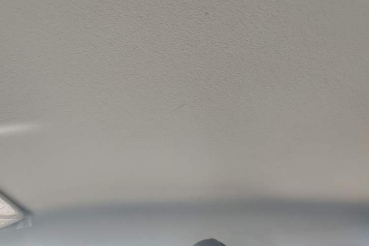 Used Leapmotor T03 2024 310 Comfort Edition Headliner