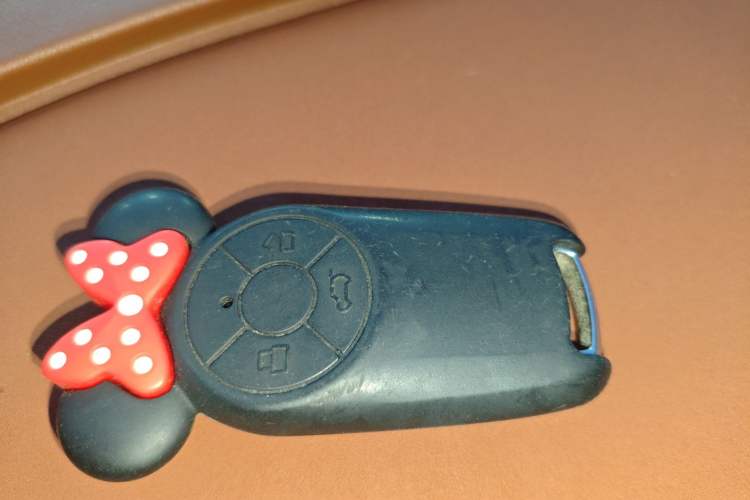 Used ORA Good Cat 2021 400km Standard Range Athena Edition Lithium-Ion Battery
